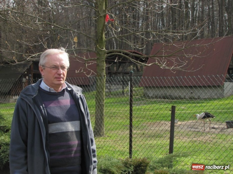 Zdjęcie w galerii na portalu naszraciborz.pl: Wkrótce otwarcie zaczarowanego ogrodu wiadomości z regionu