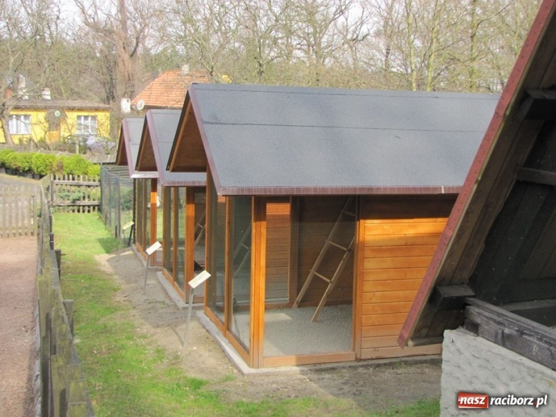 Zdjęcie w galerii na portalu naszraciborz.pl: Wkrótce otwarcie zaczarowanego ogrodu wiadomości z regionu