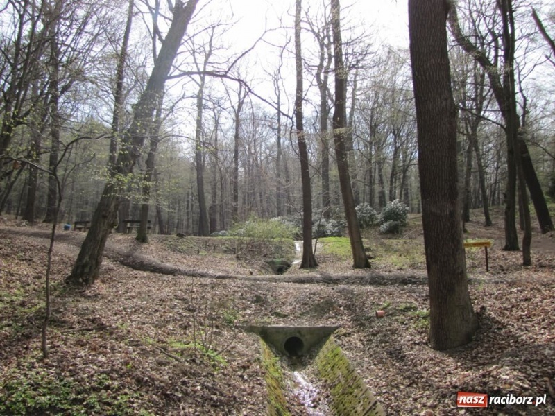 Zdjęcie w galerii na portalu naszraciborz.pl: Wkrótce otwarcie zaczarowanego ogrodu wiadomości z regionu