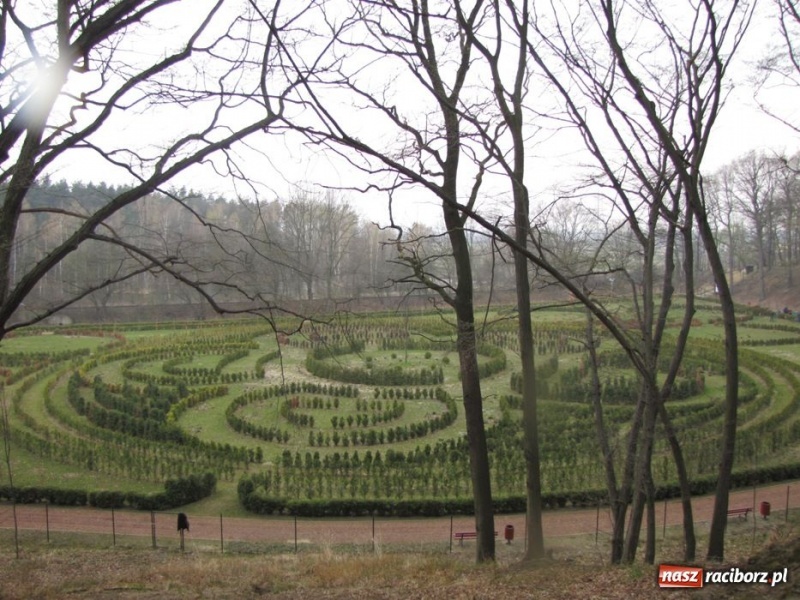 Zdjęcie w galerii na portalu naszraciborz.pl: Wkrótce otwarcie zaczarowanego ogrodu wiadomości z regionu