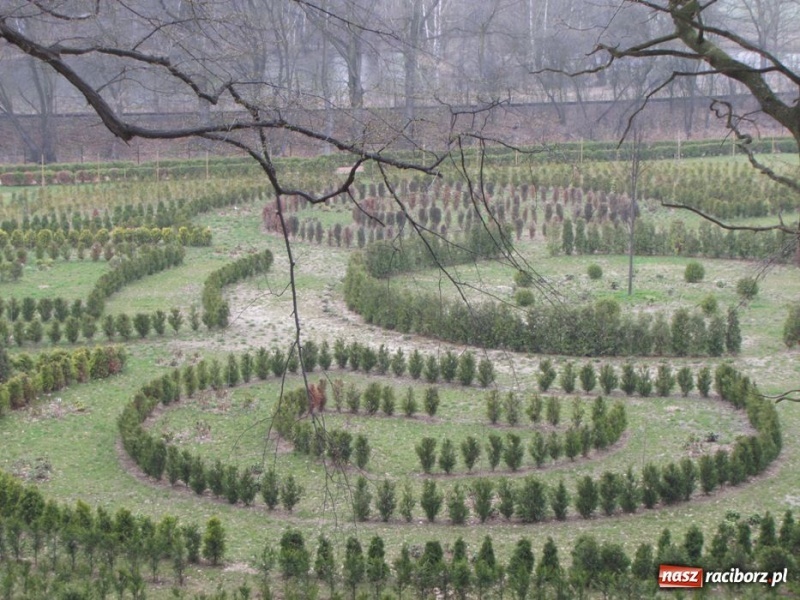 Zdjęcie w galerii na portalu naszraciborz.pl: Wkrótce otwarcie zaczarowanego ogrodu wiadomości z regionu