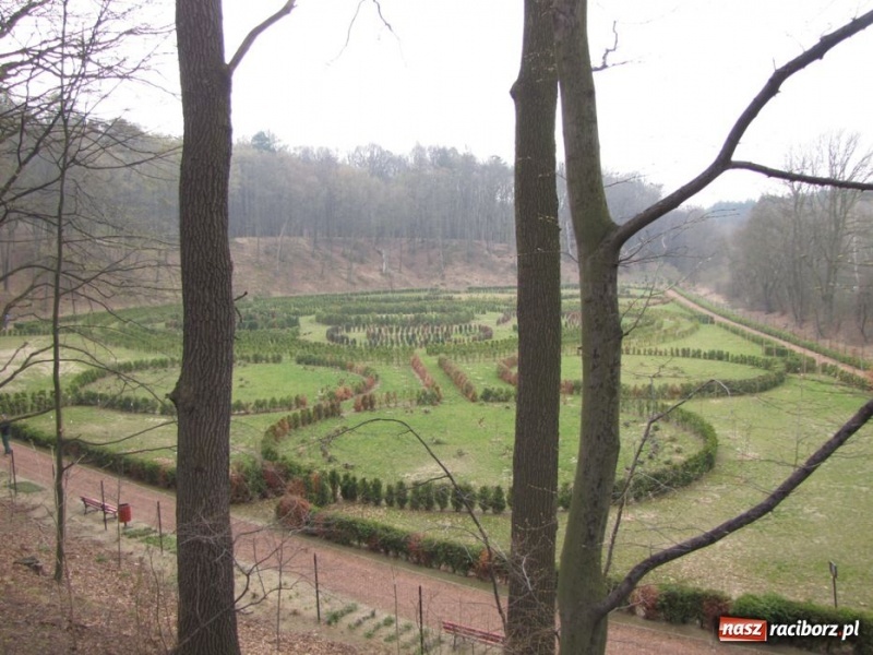 Zdjęcie w galerii na portalu naszraciborz.pl: Wkrótce otwarcie zaczarowanego ogrodu wiadomości z regionu
