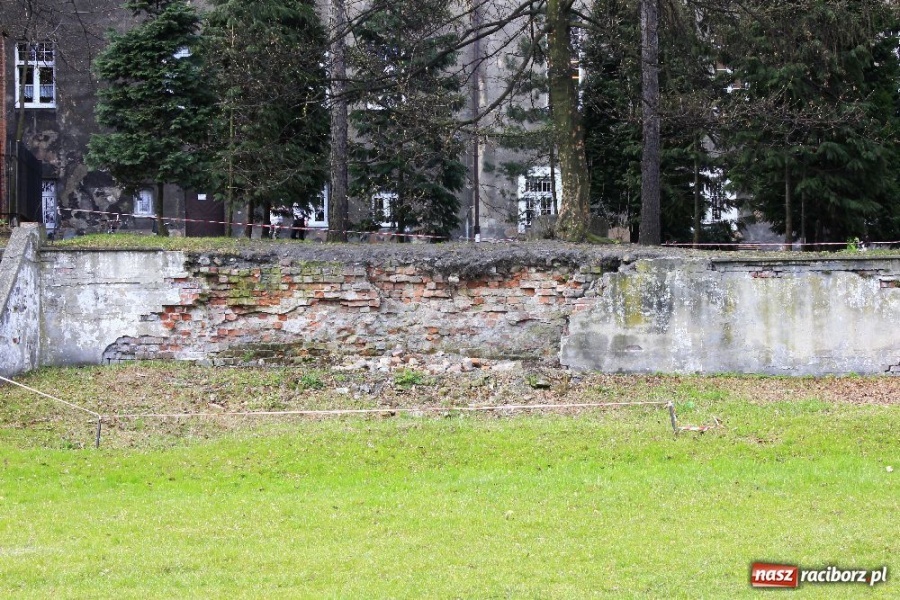 Zdjęcie w galerii na portalu naszraciborz.pl: Ekonomik: nowe boisko już we wrześniu wiadomości z regionu