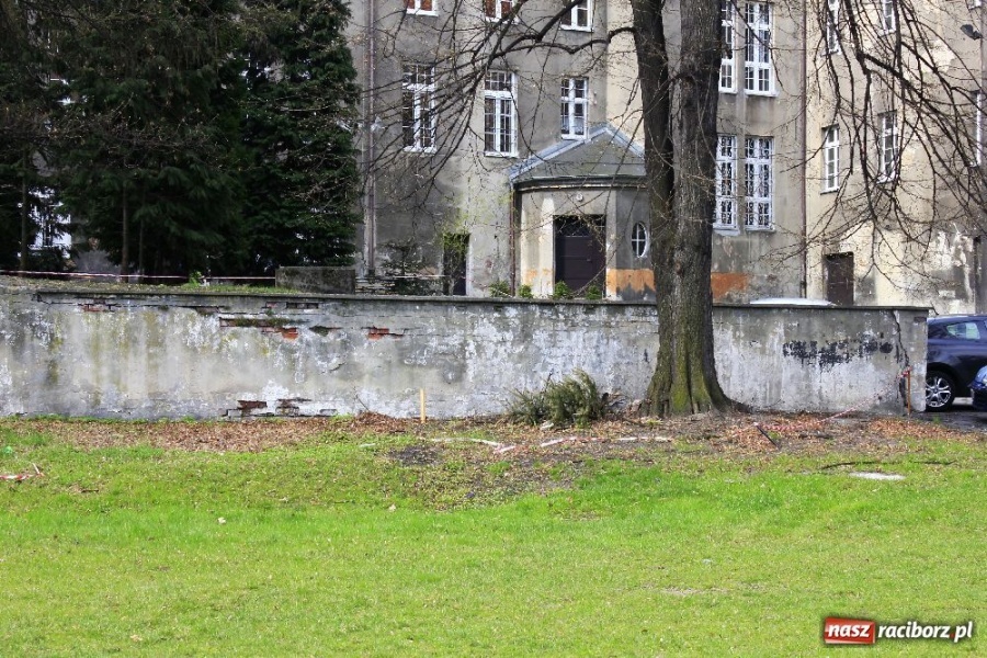 Zdjęcie w galerii na portalu naszraciborz.pl: Ekonomik: nowe boisko już we wrześniu wiadomości z regionu