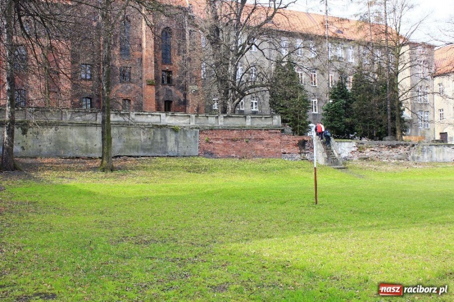 Zdjęcie w galerii na portalu naszraciborz.pl: Ekonomik: nowe boisko już we wrześniu wiadomości z regionu