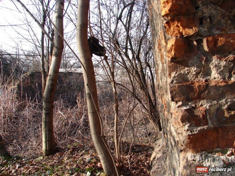 Zdjęcie w galerii na portalu naszraciborz.pl: Stare stajnie huzarskie pójdą do rozbiórki wiadomości z regionu