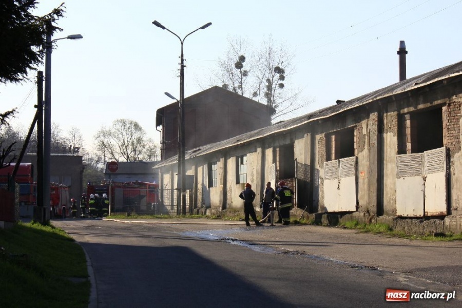 Zdjęcie w galerii na portalu naszraciborz.pl: Pożar na terenie zakładu EMA-Brzezie wiadomości z regionu