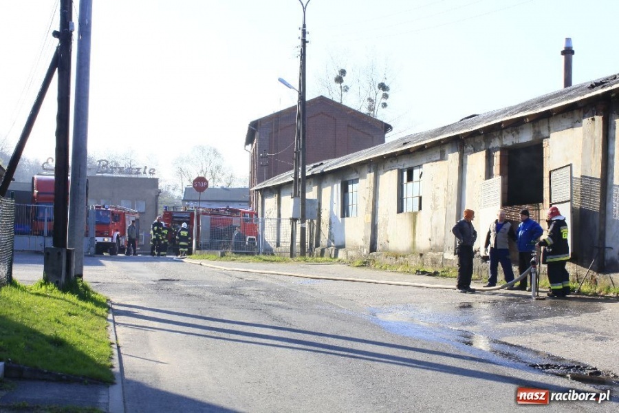 Zdjęcie w galerii na portalu naszraciborz.pl: Pożar na terenie zakładu EMA-Brzezie wiadomości z regionu