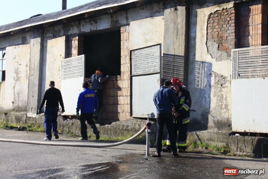 Zdjęcie w galerii na portalu naszraciborz.pl: Pożar na terenie zakładu EMA-Brzezie wiadomości z regionu