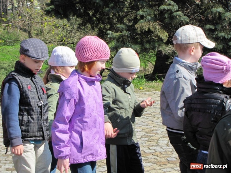 Zdjęcie w galerii na portalu naszraciborz.pl: Dzieci z Raszczyc poznały Racibórz wiadomości z regionu