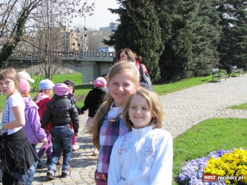 Zdjęcie w galerii na portalu naszraciborz.pl: Dzieci z Raszczyc poznały Racibórz wiadomości z regionu