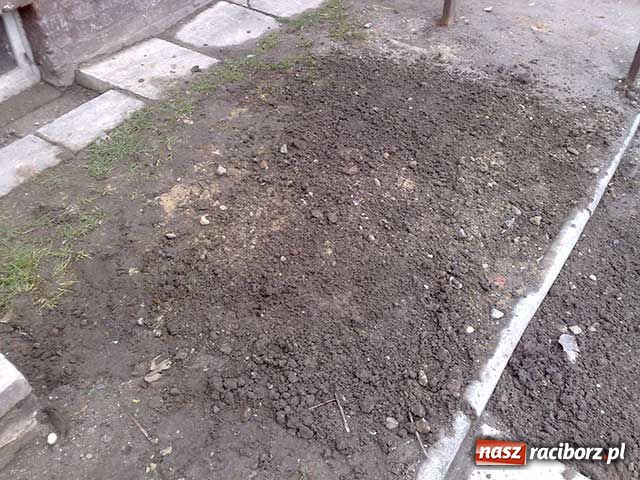 Zdjęcie w galerii na portalu naszraciborz.pl: Media pomagają wiadomości z regionu