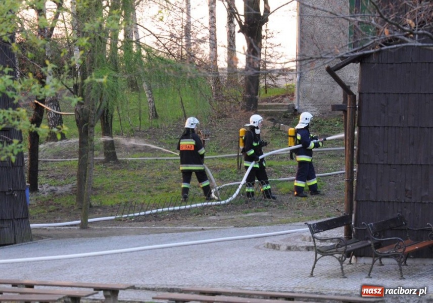 Zdjęcie w galerii na portalu naszraciborz.pl: Ratowali kościółek w Pietrowicach wiadomości z regionu