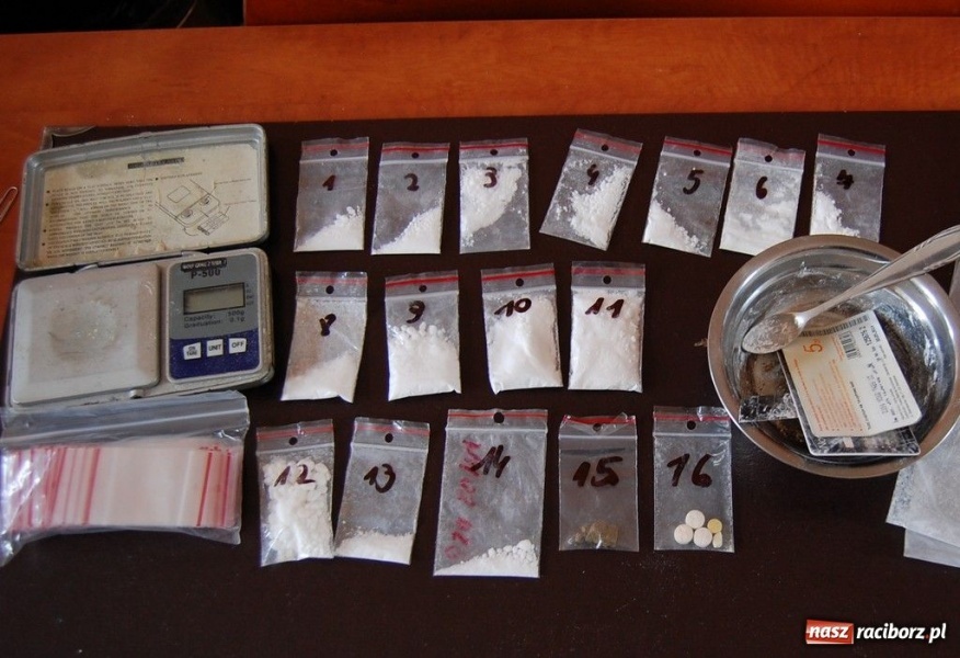 Zdjęcie w galerii na portalu naszraciborz.pl: Pies Straży Granicznej odnalazł narkotyki  wiadomości z regionu