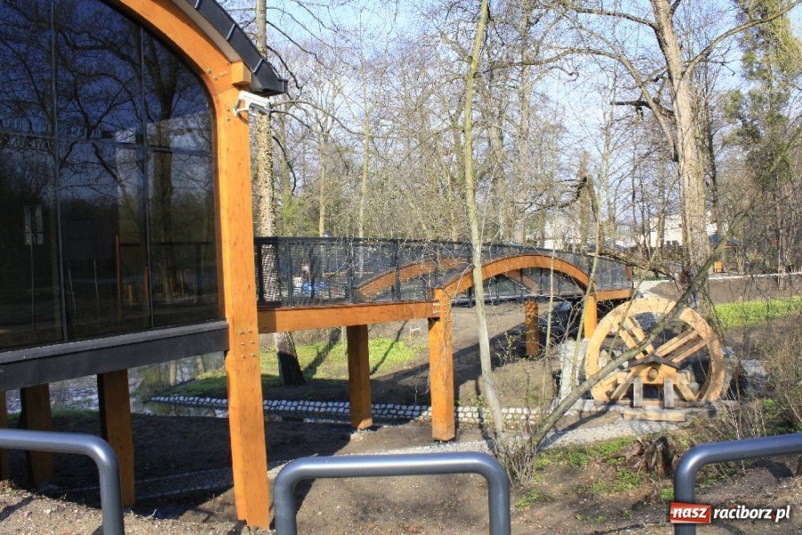 Zdjęcie w galerii na portalu naszraciborz.pl: Parking z prawdziwego zdarzenia wiadomości z regionu