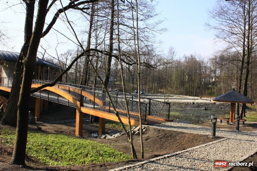 Zdjęcie w galerii na portalu naszraciborz.pl: Parking z prawdziwego zdarzenia wiadomości z regionu