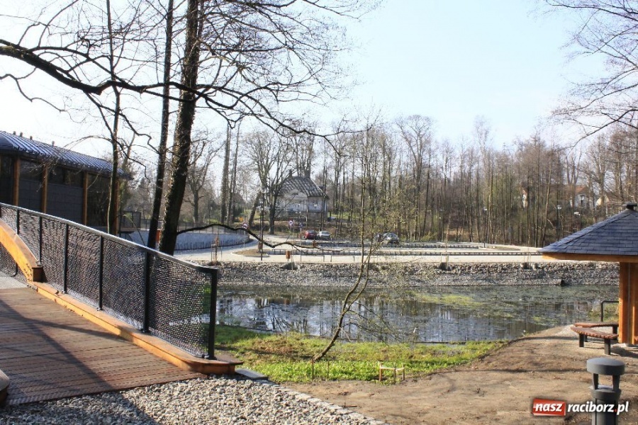 Zdjęcie w galerii na portalu naszraciborz.pl: Parking z prawdziwego zdarzenia wiadomości z regionu