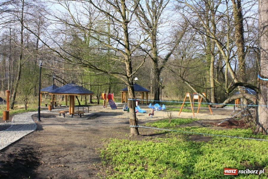 Zdjęcie w galerii na portalu naszraciborz.pl: Parking z prawdziwego zdarzenia wiadomości z regionu