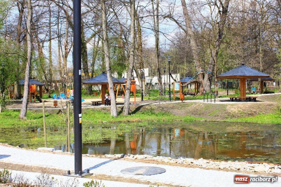 Zdjęcie w galerii na portalu naszraciborz.pl: Parking z prawdziwego zdarzenia wiadomości z regionu