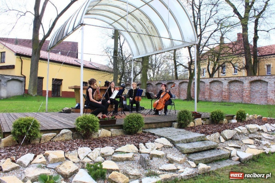 Zdjęcie w galerii na portalu naszraciborz.pl: Parking z prawdziwego zdarzenia wiadomości z regionu