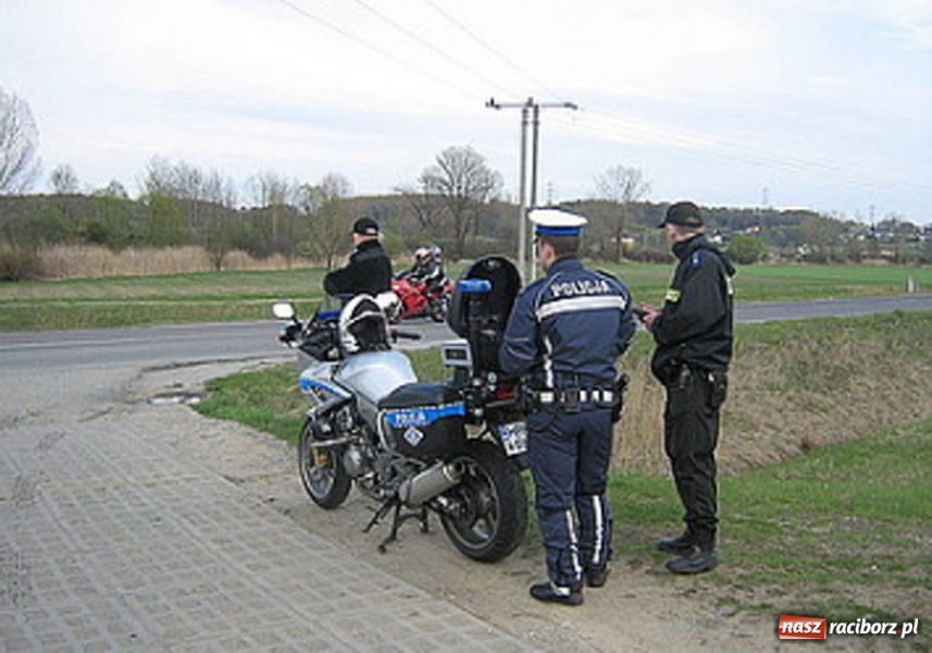 Zdjęcie w galerii na portalu naszraciborz.pl: Obława na 