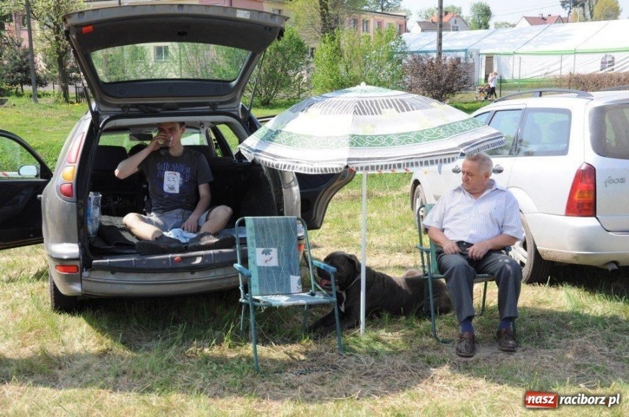 Zdjęcie w galerii na portalu naszraciborz.pl: I wystawa psów rasowych w Nędzy wiadomości z regionu