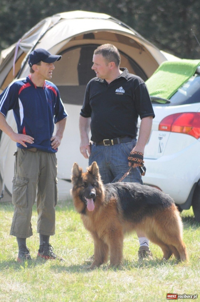 Zdjęcie w galerii na portalu naszraciborz.pl: I wystawa psów rasowych w Nędzy wiadomości z regionu