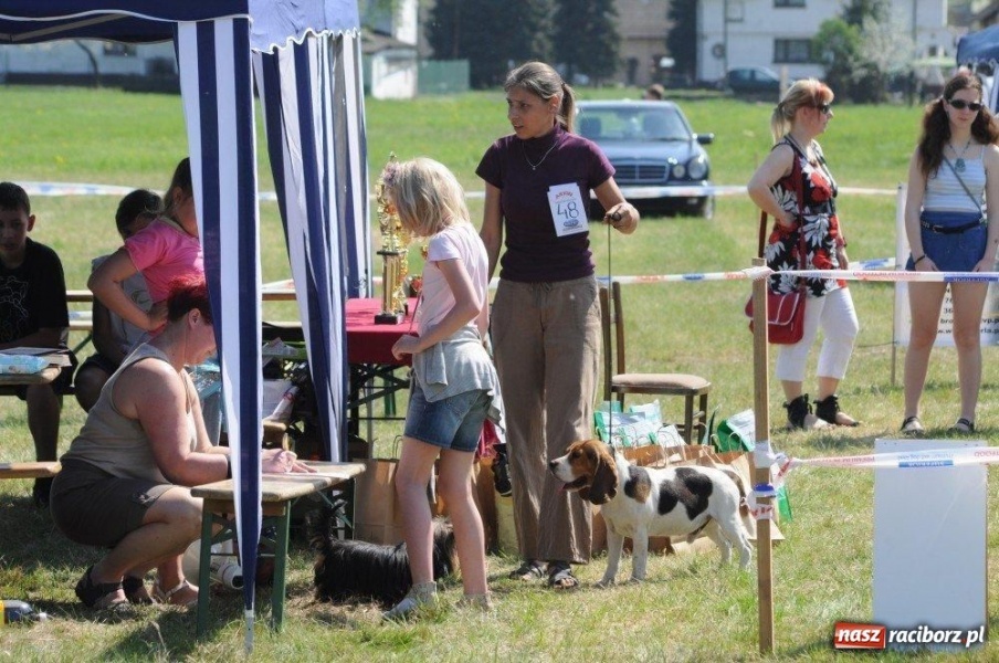 Zdjęcie w galerii na portalu naszraciborz.pl: I wystawa psów rasowych w Nędzy wiadomości z regionu