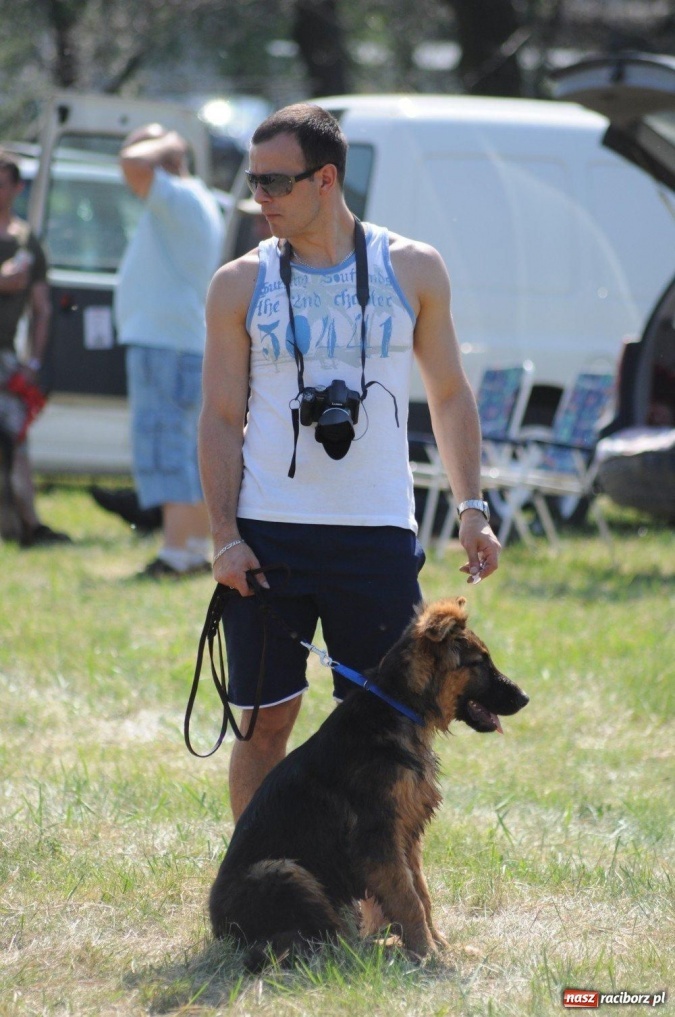 Zdjęcie w galerii na portalu naszraciborz.pl: I wystawa psów rasowych w Nędzy wiadomości z regionu