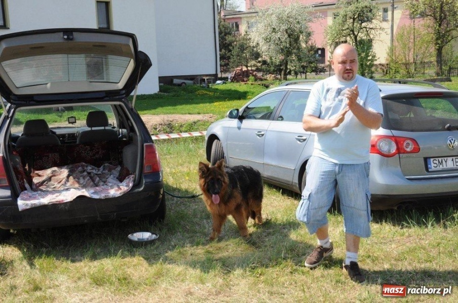Zdjęcie w galerii na portalu naszraciborz.pl: I wystawa psów rasowych w Nędzy wiadomości z regionu