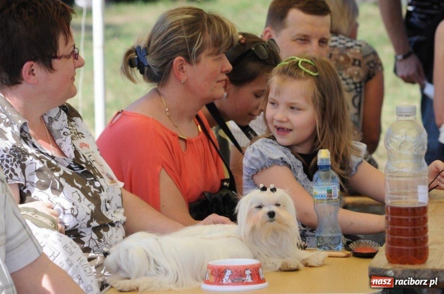 Zdjęcie w galerii na portalu naszraciborz.pl: I wystawa psów rasowych w Nędzy wiadomości z regionu
