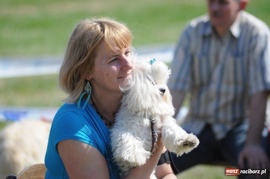 Zdjęcie w galerii na portalu naszraciborz.pl: I wystawa psów rasowych w Nędzy wiadomości z regionu