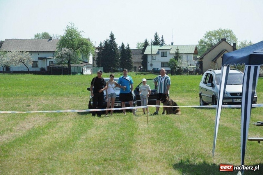 Zdjęcie w galerii na portalu naszraciborz.pl: I wystawa psów rasowych w Nędzy wiadomości z regionu