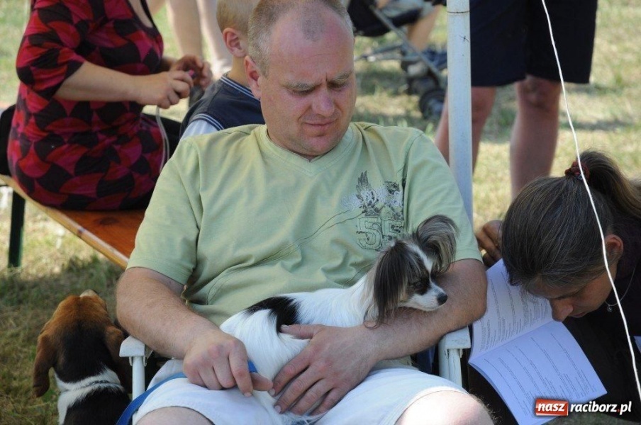 Zdjęcie w galerii na portalu naszraciborz.pl: I wystawa psów rasowych w Nędzy wiadomości z regionu