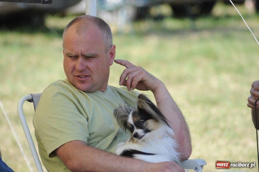 Zdjęcie w galerii na portalu naszraciborz.pl: I wystawa psów rasowych w Nędzy wiadomości z regionu