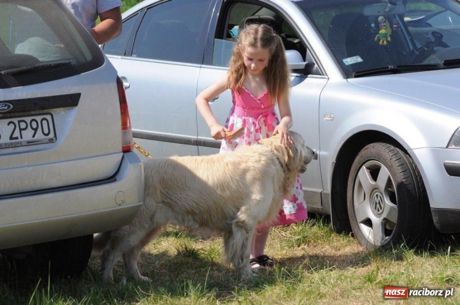 Zdjęcie w galerii na portalu naszraciborz.pl: I wystawa psów rasowych w Nędzy wiadomości z regionu
