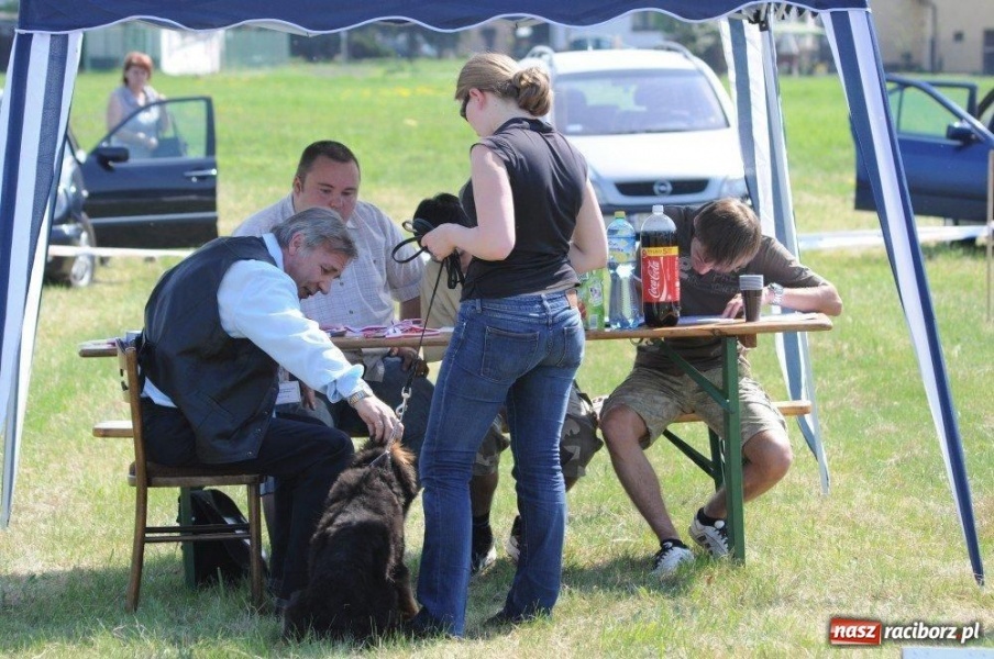 Zdjęcie w galerii na portalu naszraciborz.pl: I wystawa psów rasowych w Nędzy wiadomości z regionu
