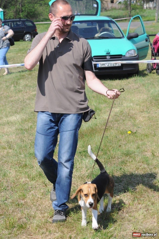 Zdjęcie w galerii na portalu naszraciborz.pl: I wystawa psów rasowych w Nędzy wiadomości z regionu