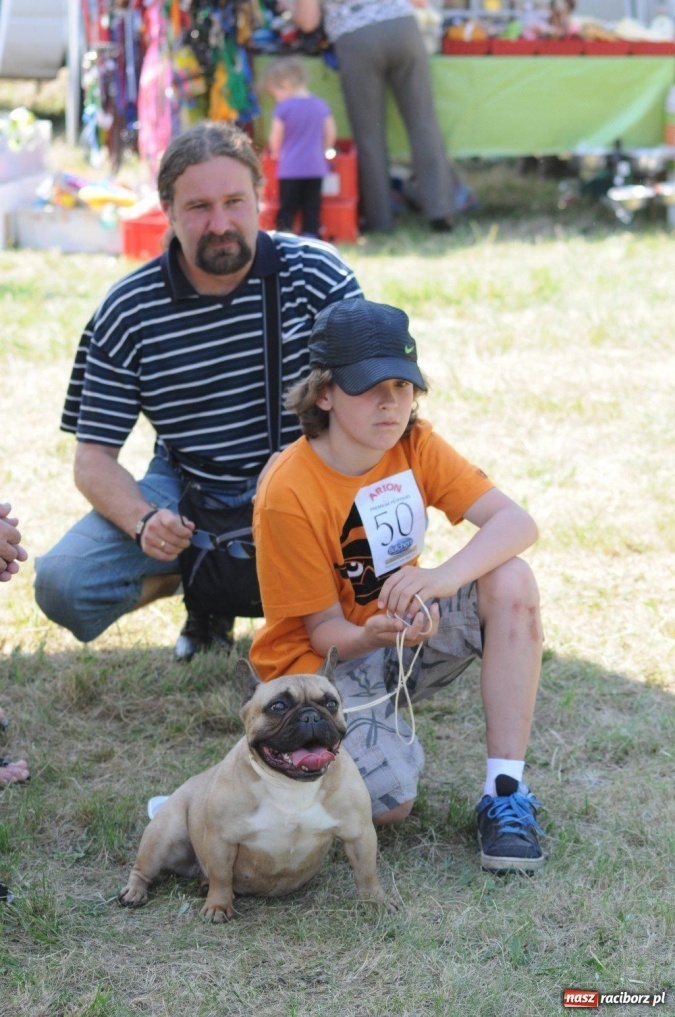 Zdjęcie w galerii na portalu naszraciborz.pl: I wystawa psów rasowych w Nędzy wiadomości z regionu