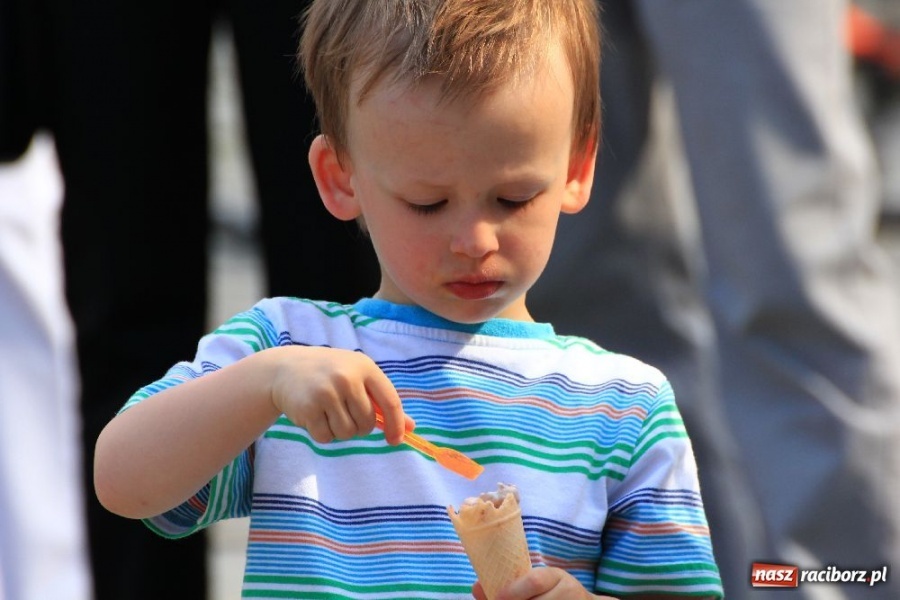 Zdjęcie w galerii na portalu naszraciborz.pl: Majówka z RCK - Stumilowy Las wiadomości z regionu