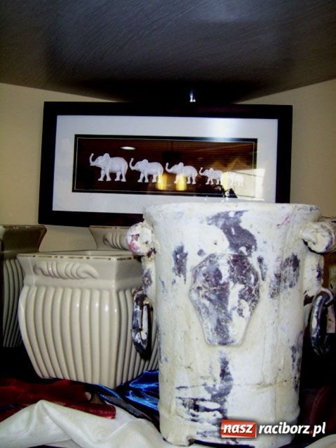 Zdjęcie w galerii na portalu naszraciborz.pl: Kwiaciarki, to już marzec! wiadomości z regionu