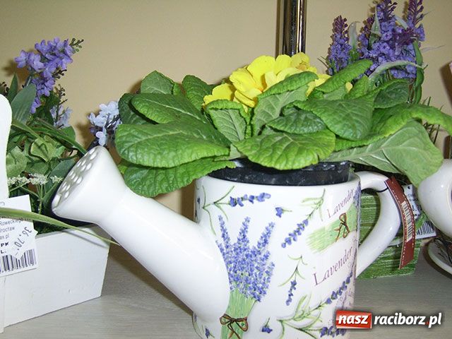 Zdjęcie w galerii na portalu naszraciborz.pl: Kwiaciarki, to już marzec! wiadomości z regionu