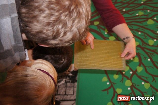 Zdjęcie w galerii na portalu naszraciborz.pl: Polacy i Czesi o pszczołach w SP-4 wiadomości z regionu