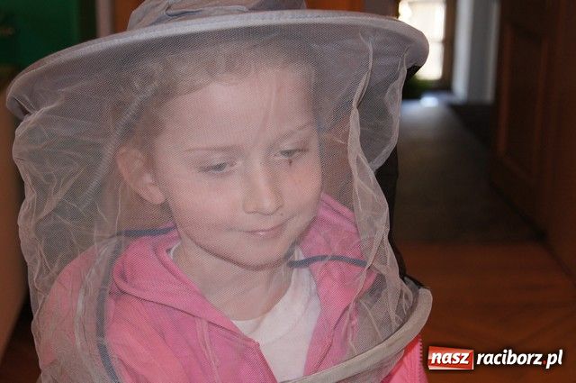 Zdjęcie w galerii na portalu naszraciborz.pl: Polacy i Czesi o pszczołach w SP-4 wiadomości z regionu