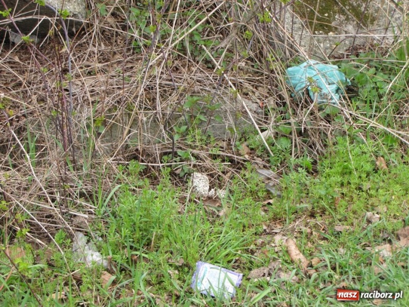 Zdjęcie w galerii na portalu naszraciborz.pl: Żwirownia tonie w śmieciach wiadomości z regionu