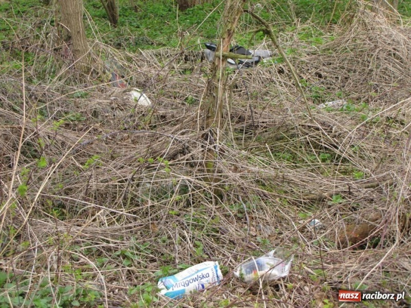 Zdjęcie w galerii na portalu naszraciborz.pl: Żwirownia tonie w śmieciach wiadomości z regionu