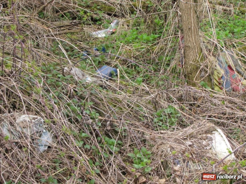Zdjęcie w galerii na portalu naszraciborz.pl: Żwirownia tonie w śmieciach wiadomości z regionu