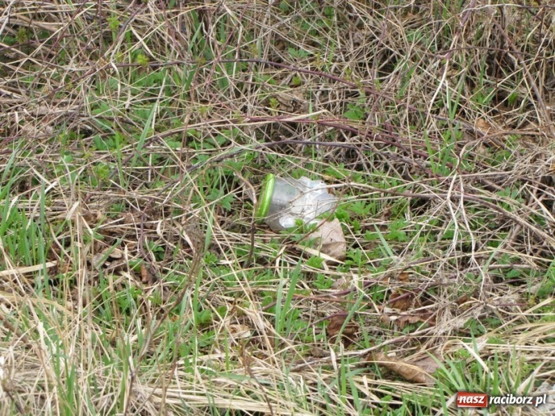 Zdjęcie w galerii na portalu naszraciborz.pl: Żwirownia tonie w śmieciach wiadomości z regionu
