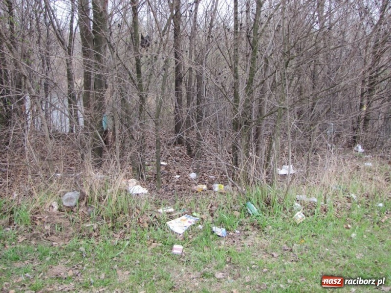 Zdjęcie w galerii na portalu naszraciborz.pl: Żwirownia tonie w śmieciach wiadomości z regionu