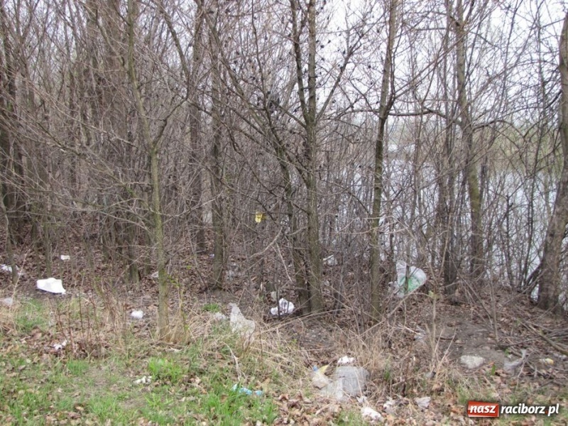 Zdjęcie w galerii na portalu naszraciborz.pl: Żwirownia tonie w śmieciach wiadomości z regionu